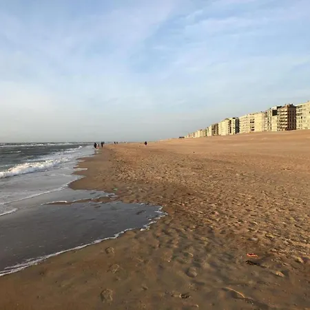 By Zeedijk With Sea View Apartamento *