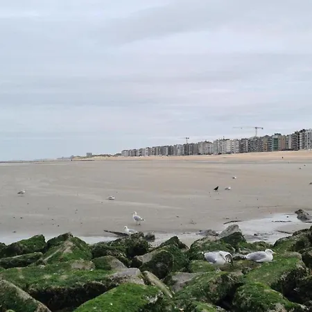 Apartamento By Zeedijk With Sea View